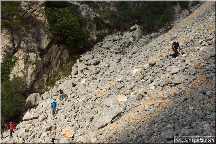 PA300836.JPG