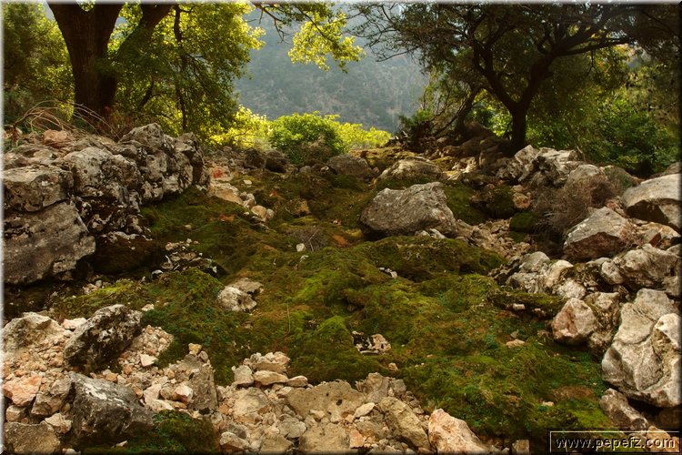 PA300848.JPG