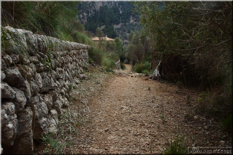 PA300854.JPG