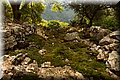 PA300848.JPG