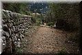 PA300854.JPG