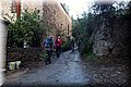 PB060862.JPG