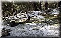 PB060926.JPG