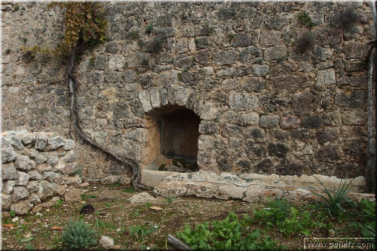 PB110972.JPG