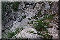 PB131024.JPG