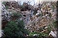 PB131030.JPG