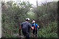 PB181110.JPG