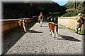PB181149.JPG