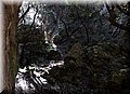 PB201191.JPG