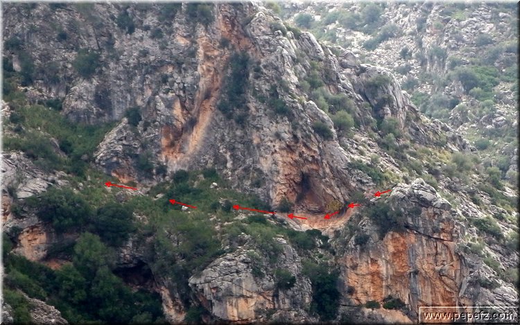 PB271460.JPG