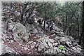 PB271477.JPG