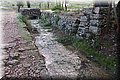 PC041480.JPG