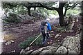PC041495.JPG