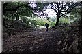 PC041496.JPG