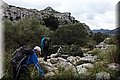 PC041503.JPG