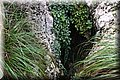PC041504.JPG