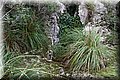 PC041505.JPG