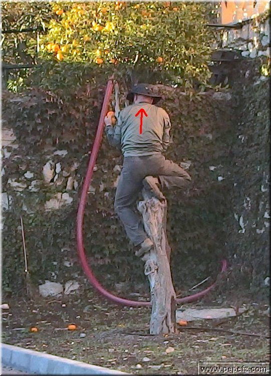 PC111724.JPG