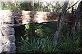 PC111651.JPG