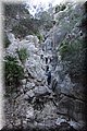 PC111653.JPG