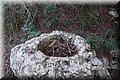 PC111676.JPG