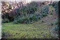 PC111680.JPG
