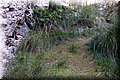 PC111681.JPG
