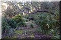 PC111683.JPG