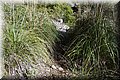 PC111685.JPG