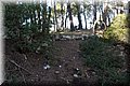 PC111687.JPG