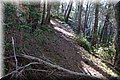 PC111688.JPG