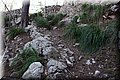 PC111691.JPG