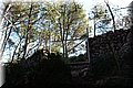 PC111692.JPG