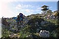 PC111694.JPG