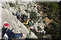 PC111715.JPG