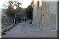 PC111720.JPG