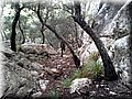 20141215_105039.jpg