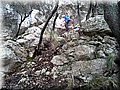 20141215_105130.jpg