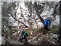 20141215_105223.jpg