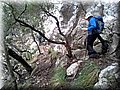 20141215_105332.jpg