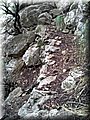 20141215_105510.jpg