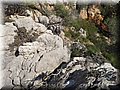 20141215_121903.jpg