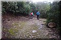 PC153567.JPG