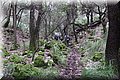 PC183588.JPG