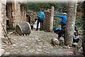PC183590.JPG