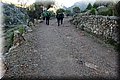 PC223593.JPG