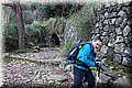 PC223595.JPG