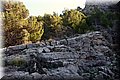 PC223617.JPG