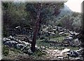 PC223624.JPG