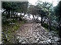 2014105923.jpg